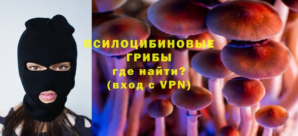 крисы Балахна