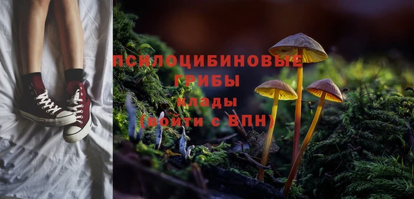 крисы Балахна