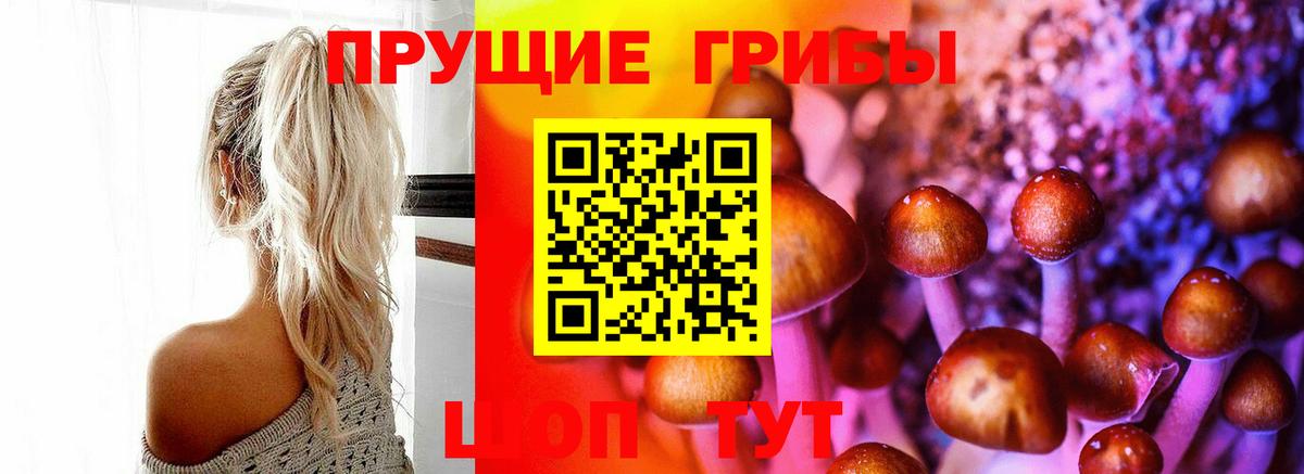 Псилоцибиновые грибы Cubensis Белово