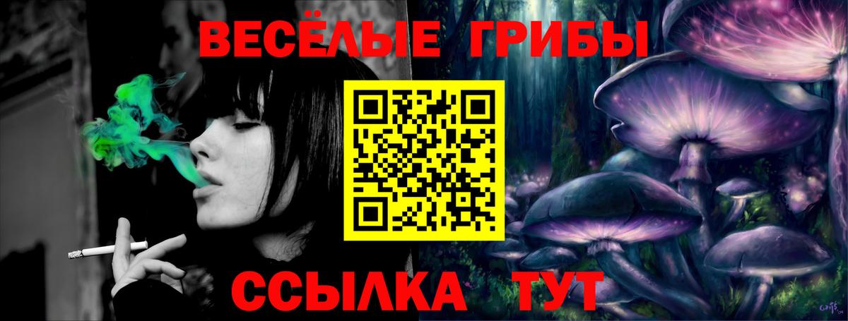 Галлюциногенные грибы ЛСД Белово