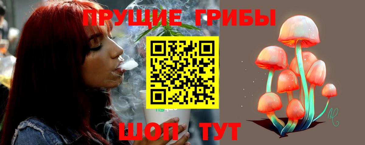 Псилоцибиновые грибы Cubensis  Вход с VPN  Белово 