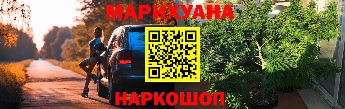 Бошки Шишки SATIVA & INDICA  Марихуана план  Вход с VPN  Белово  Каннабис гибрид 